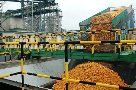 敦煌種業(yè)先鋒良種有限公司酒泉種子加工廠三、四期工程竣工投產(chǎn)