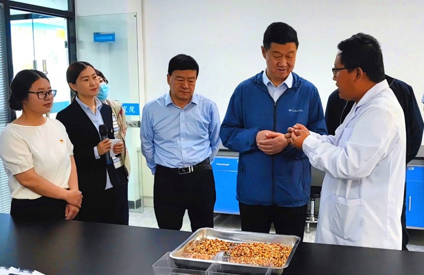 甘肅省地方金融監(jiān)管局、甘肅證監(jiān)局領(lǐng)導(dǎo)蒞臨敦煌種業(yè)調(diào)研指導(dǎo)