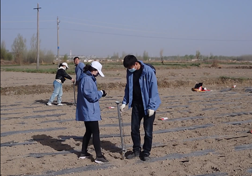 “三抓三促”行動(dòng)進(jìn)行時(shí) | 上下一心謀營銷　 全力以赴促業(yè)績(jī)——敦煌種業(yè)種子營銷分公司落實(shí)“三抓三促行動(dòng)”紀(jì)實(shí)